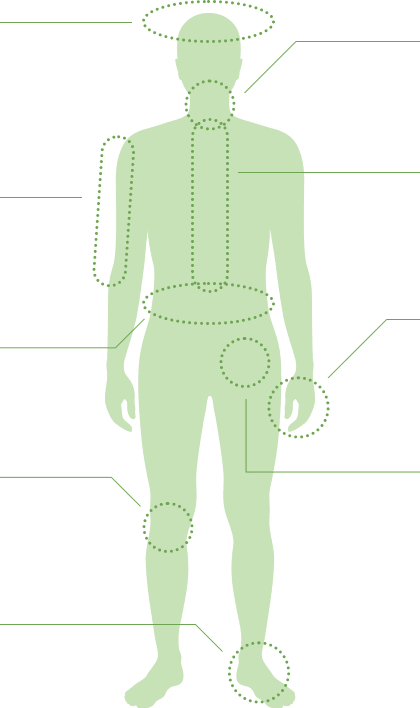 整形外来分野における主な症状 画像1